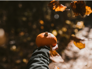 Vacances de Toussaint & Halloween : le programme d'animations du ValJoly